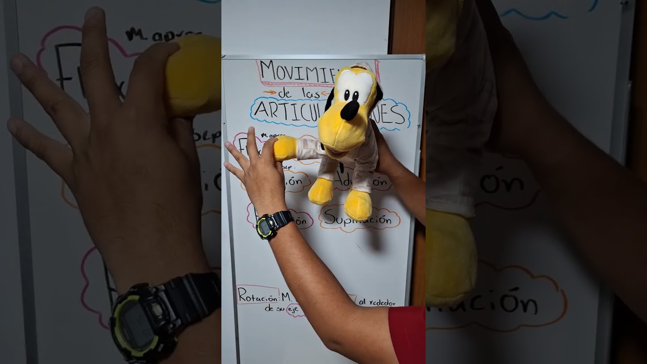 MOVIMIENTOS ARTICULARES 🦴