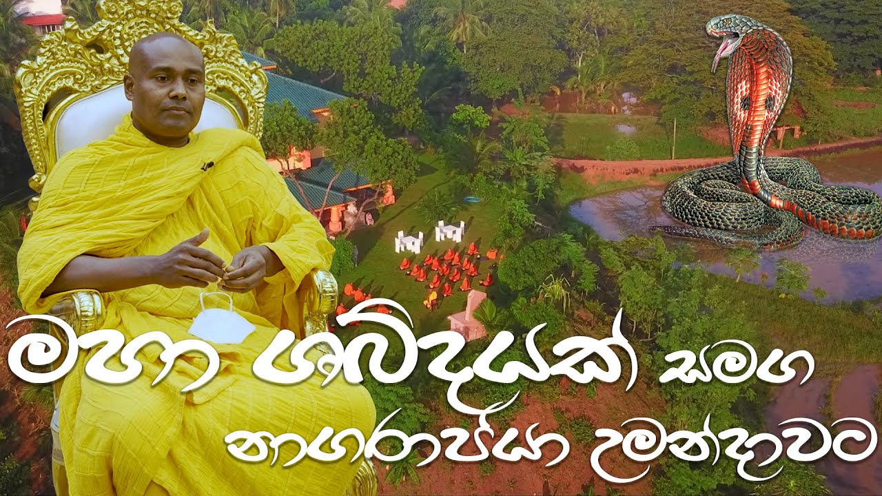 විශාල ශබ්දයක් සමග උමන්දාවේ නාග රාජයා මතුවූ හැටි