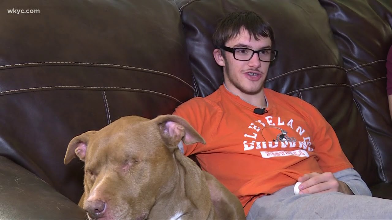 Adoptive parents needed for older children