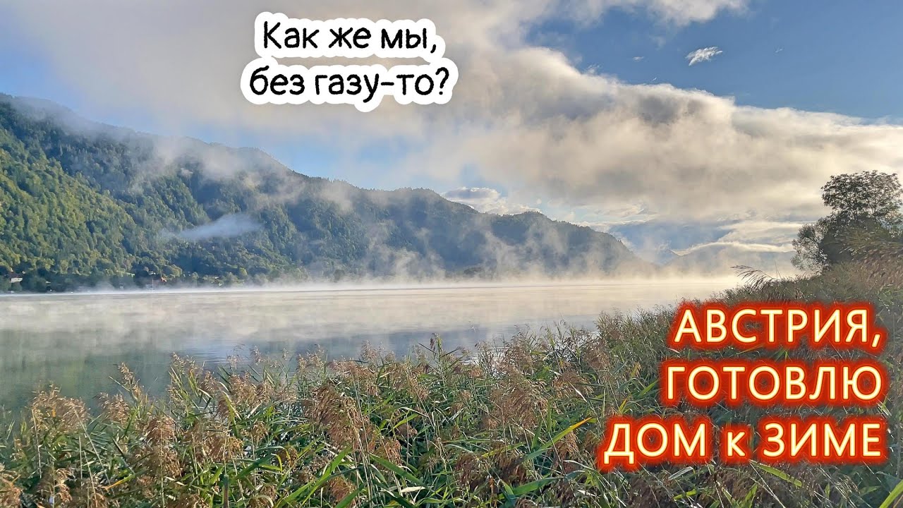 Австрия, дом на озере. Включаю отопление, лебеди помогают!