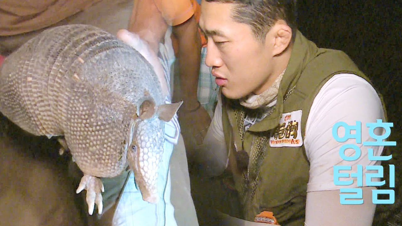 김동현, 아르마딜로 고기 득템 @정글의 법칙 20150925