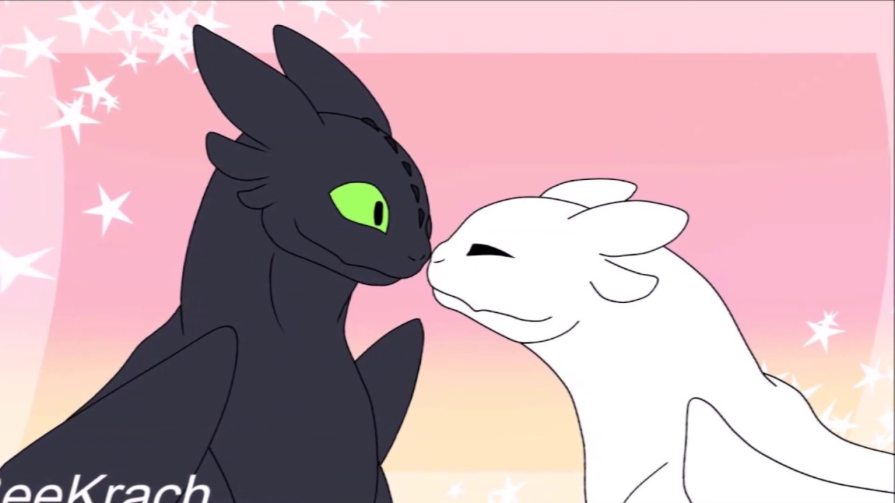 Toothless and Light fury🐉Song When Can I See You Again