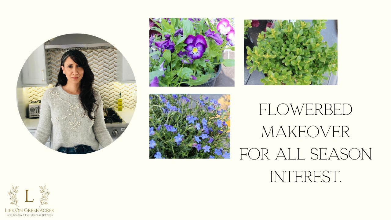 Parent's Flower Bed Makeover For All Season Interest🌸🌱🌺