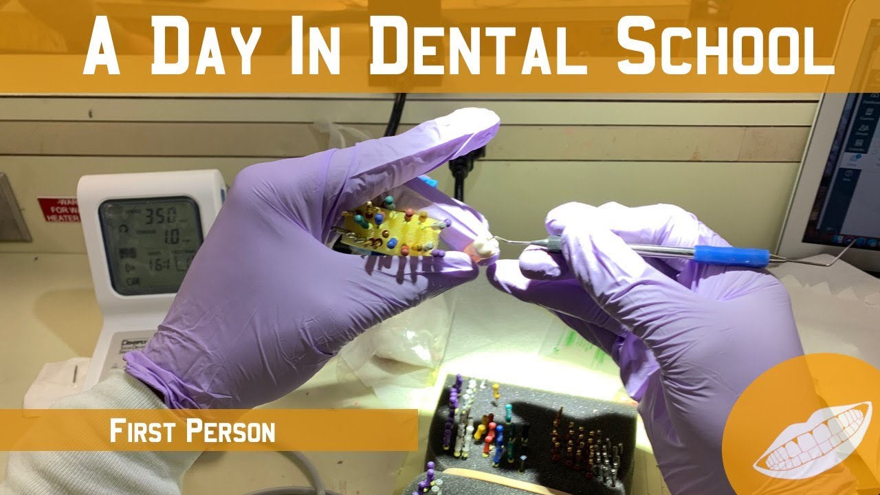 Day In The Life Of A Dental Student || FutureDDS