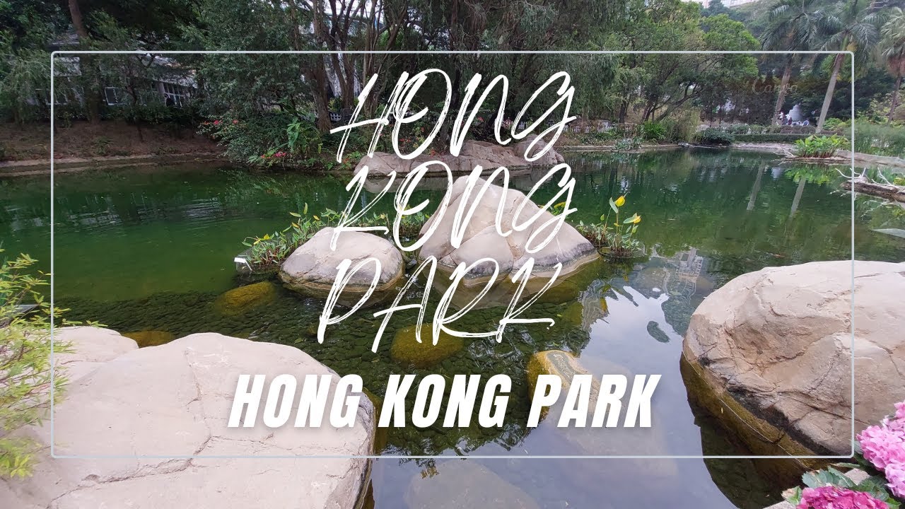Hong Kong Park |Greys
