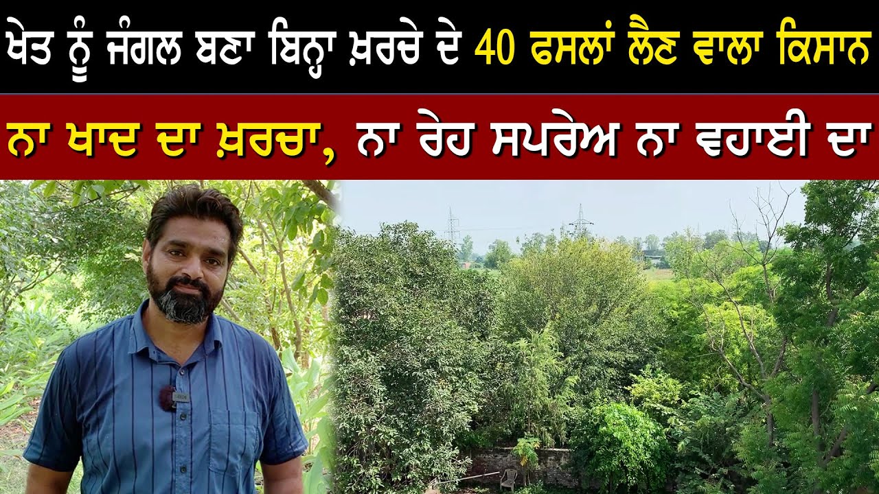 ਇੱਕ ਏਕੜ ਚ ਲਾਏ ਜੰਗਲ ਚੋਂ 40 ਫਸਲਾਂ ਲੈਣ ਵਾਲਾ ਕਿਸਾਨ