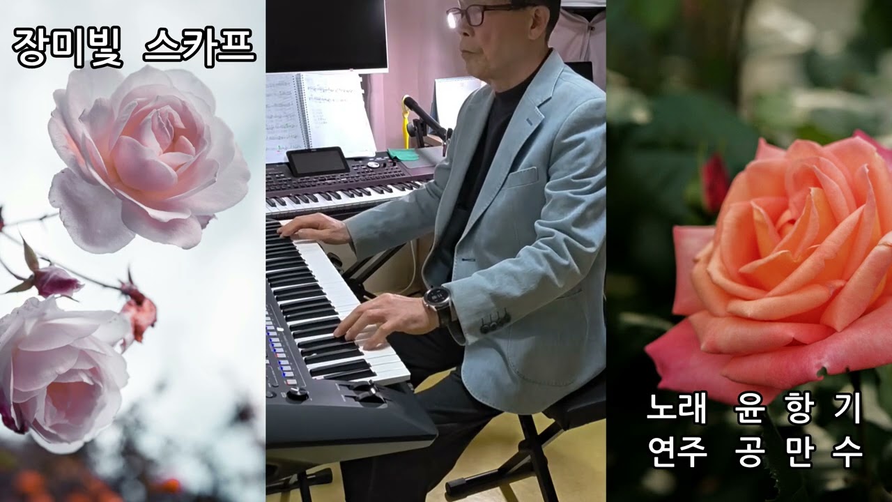 장미빛 스카프