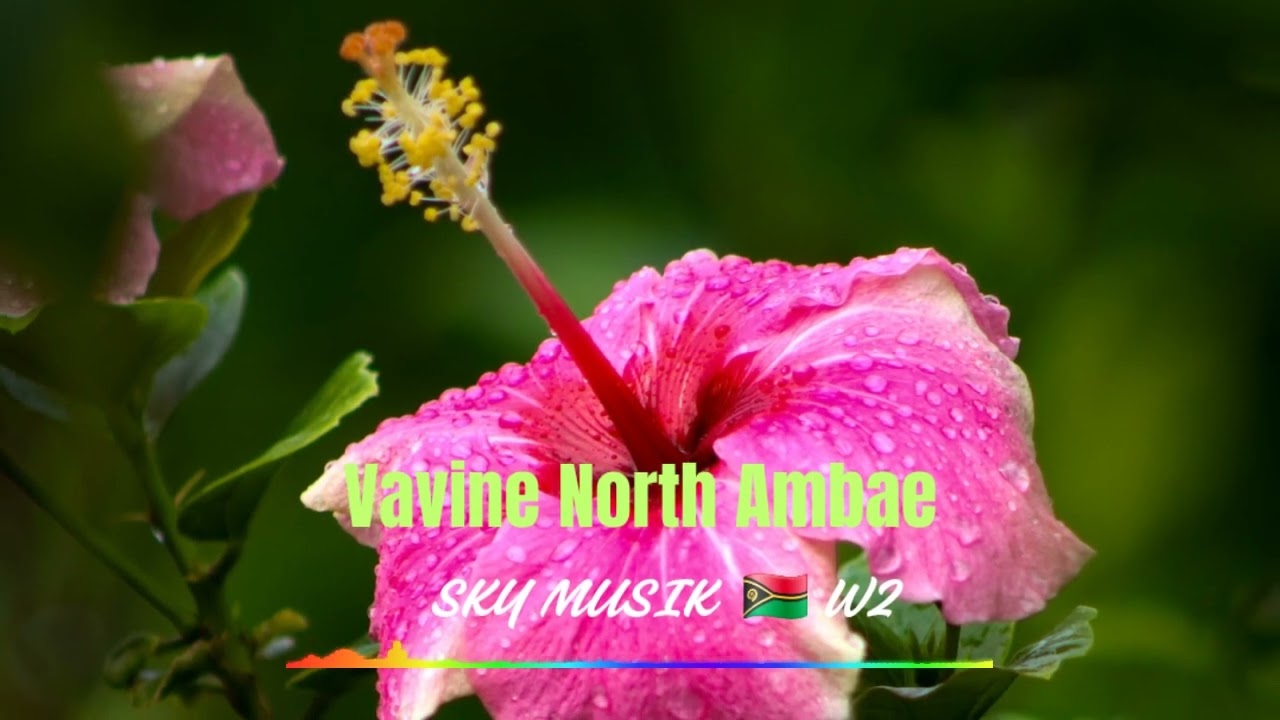 Vavine North Ambae W2