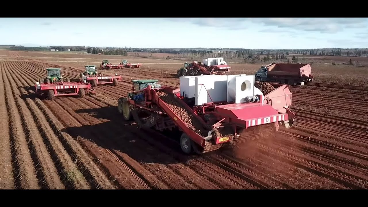 Allan High Capacity Harvesters