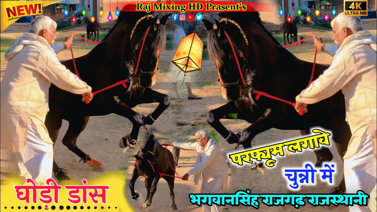 भगवानसिंह राजगढ़ राजस्थानी सवार || परफ्यूम लगावै चुन्नी में || जबरदस्त घोड़ी डांस 2026  #viralvideo