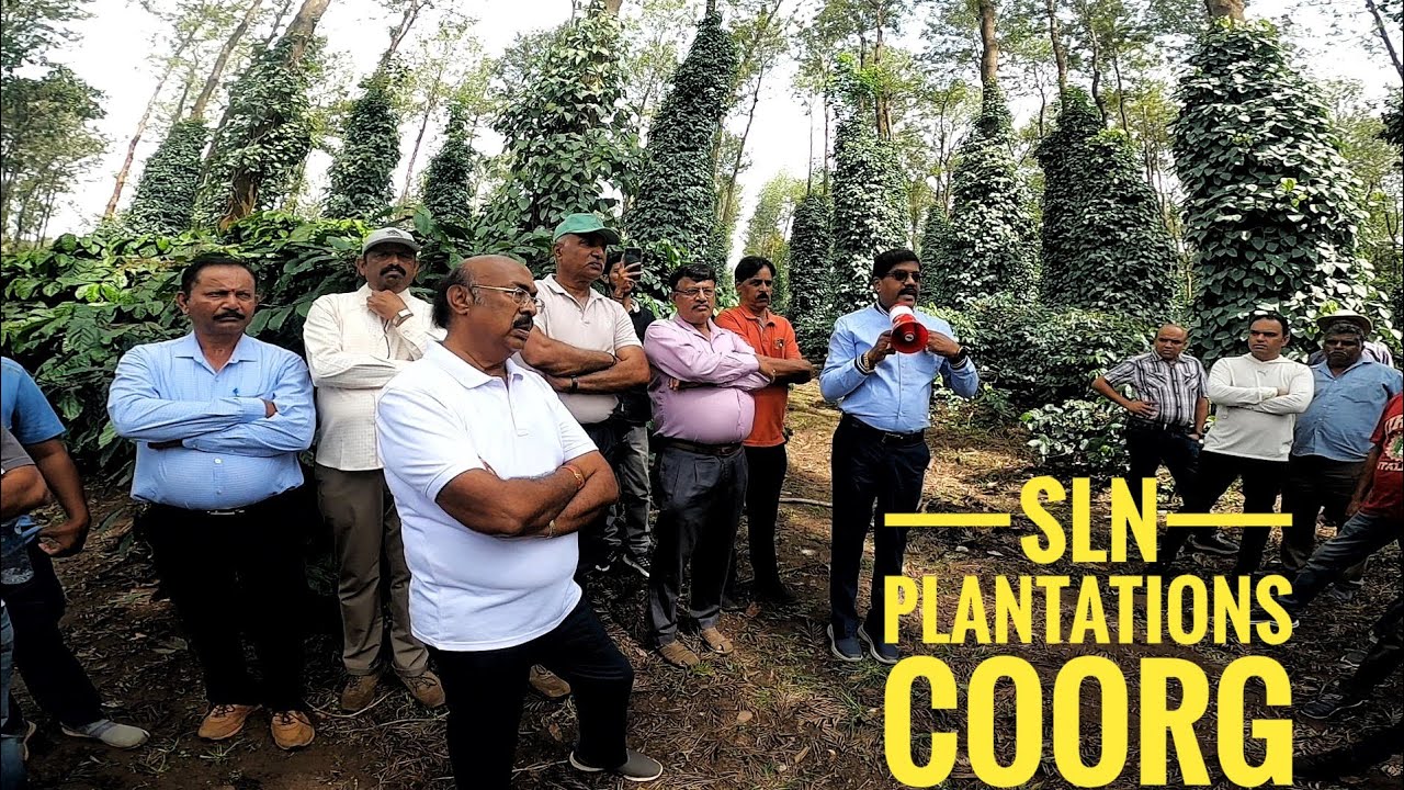 SLN PLANTATIONS FOUR MAJOR CROPS|COFFEE |BLACK PEPPER|CARDAMOM|ARECANUT|FARM VISIT BYHASIRU ORGANICS
