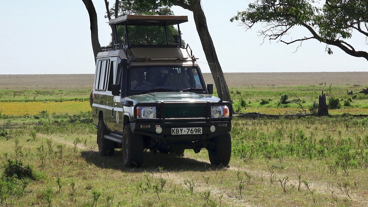 A Day on Safari in the Masai Mara