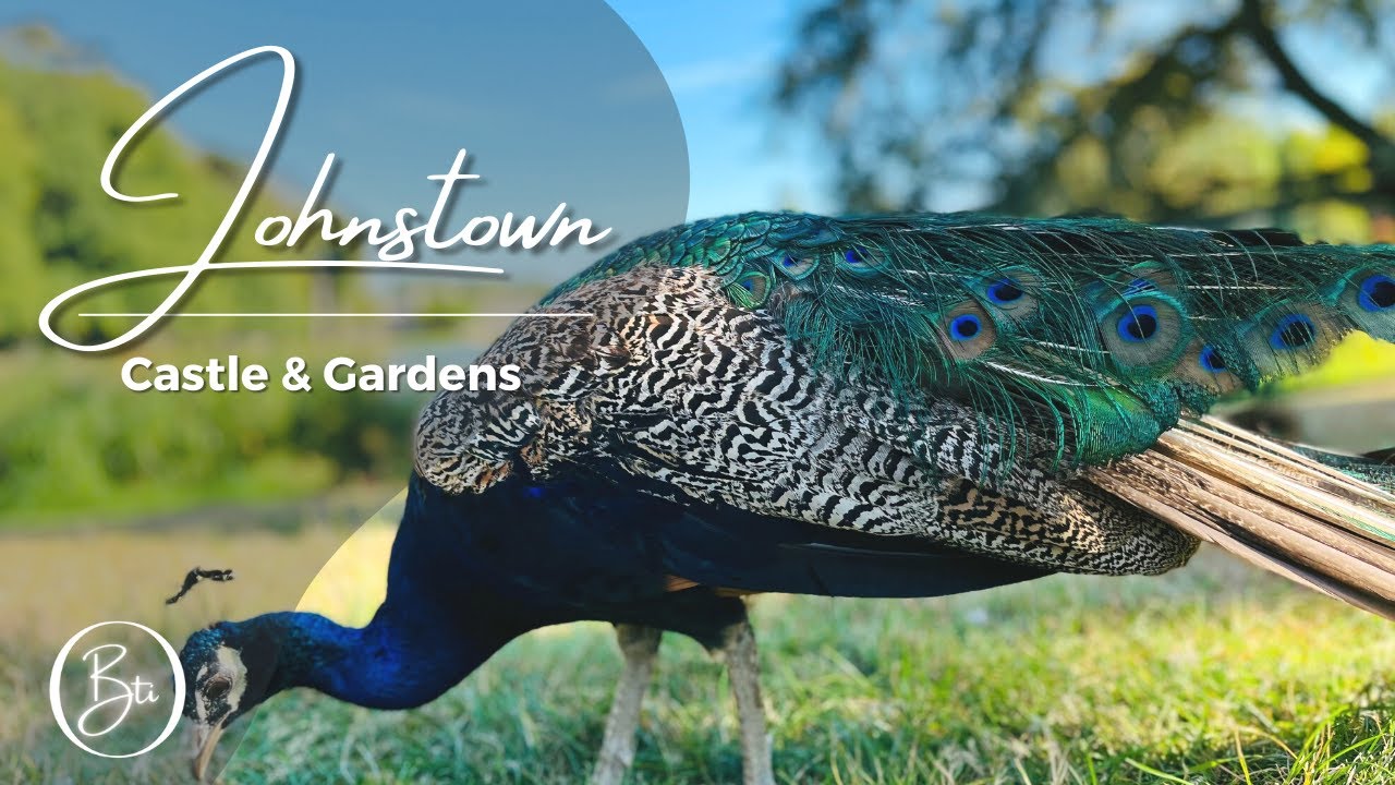 FULL GARDEN WALK | JOHNSTOWN CASTLE & GARDENS | IRELAND | WEXFORD | 4K