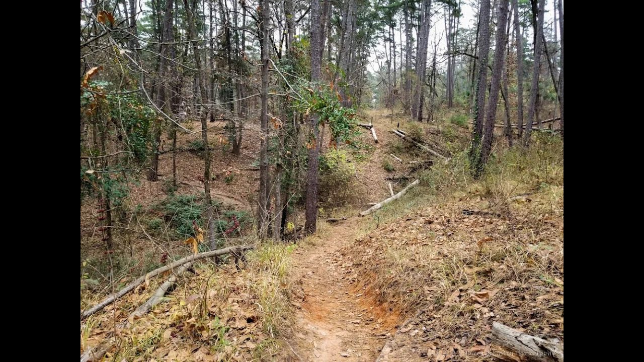 HIKING THE D LOOP TRAIL  PART 1   TYLER STATE PARK