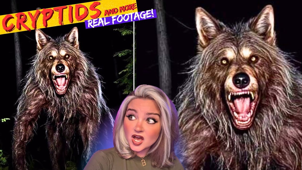 Hauntingly Creepy CRYPTIDS Caught on Camera 2025 *SCARY Videos*