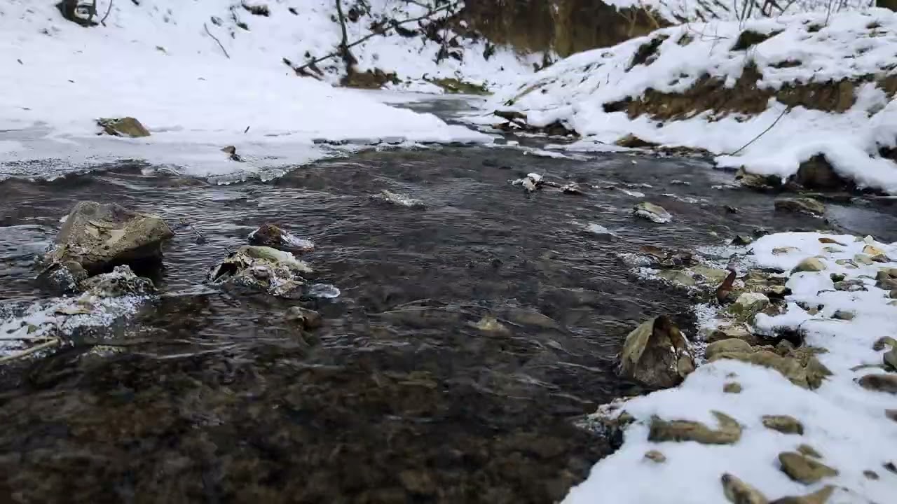 Quiet Winter Stream in the Forest | Natural Ambience 4K