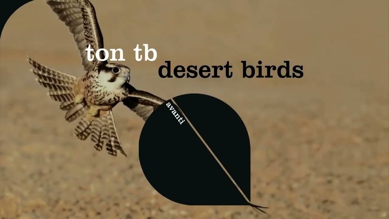 Ton TB - Desert Birds (Extended Mix)