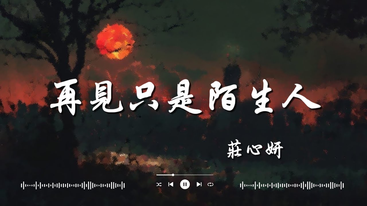 莊心妍   再見只是陌生人  隔壁老樊   我曾, 毛不易   不染🎶 2024年最具創意的中文TikTok熱曲：歌詞帶你進入奇幻世界！【動態歌詞Lyrics】