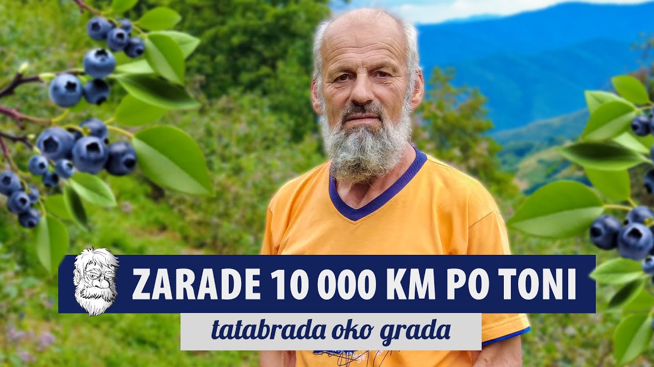 Zet na punčevoj zemlji zaradi 10 HILJADA KM!