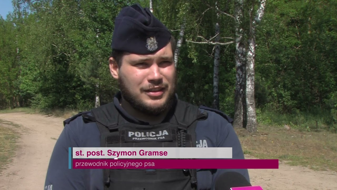 TV ASTA: policja szuka przewodników dla psów służbowych