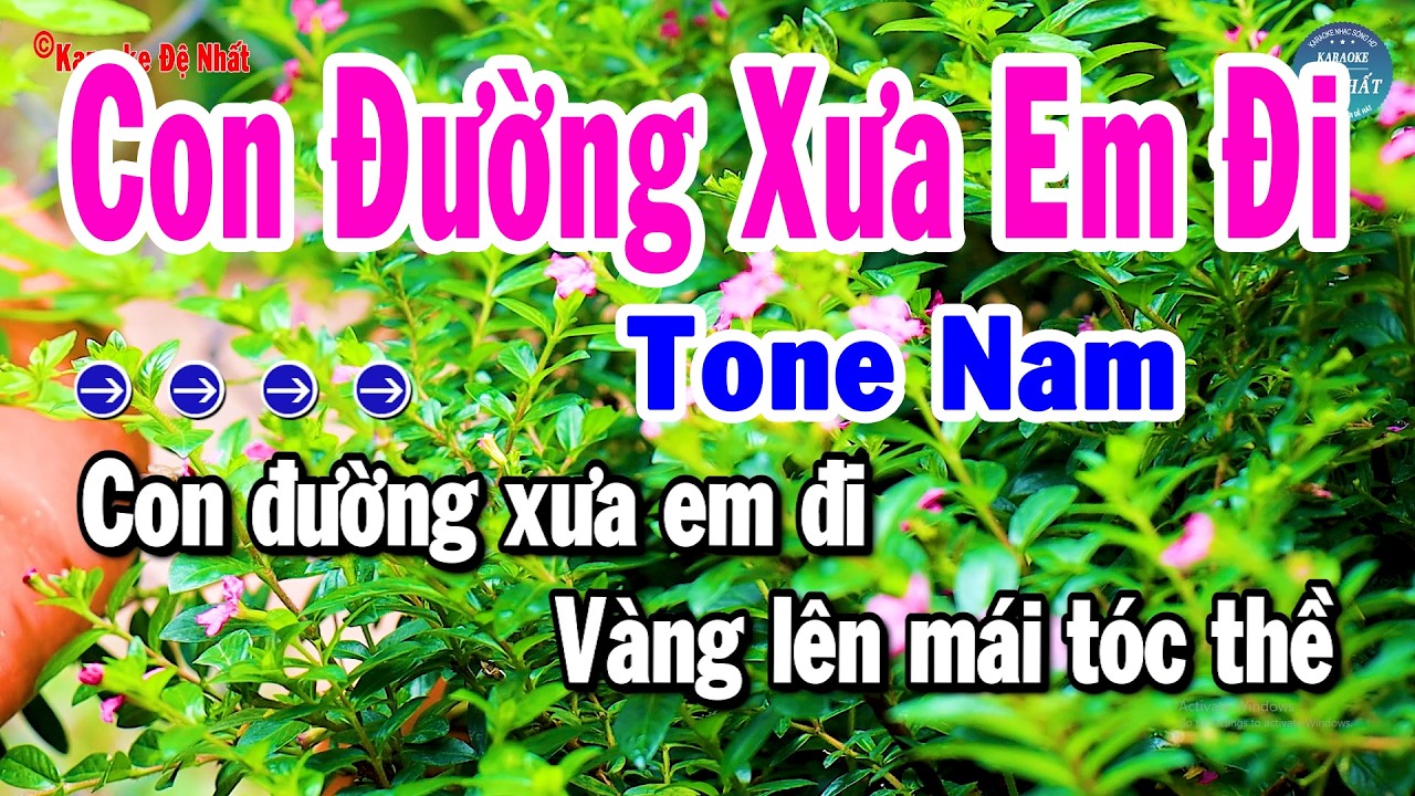 Karaoke Con Đường Xưa Em Đi Tone Nam Nhạc Sống Trữ Tình Dễ Hát Nhất | Karaoke Đệ Nhất