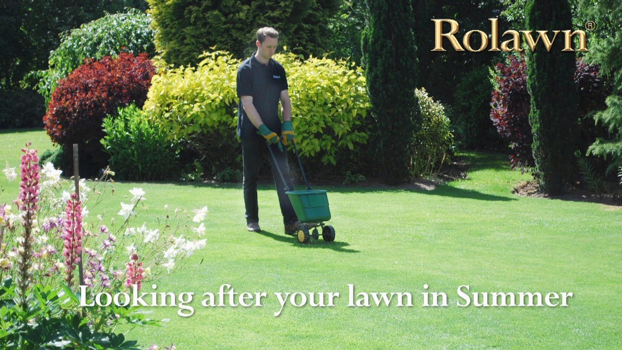 Summer Lawn Care Video