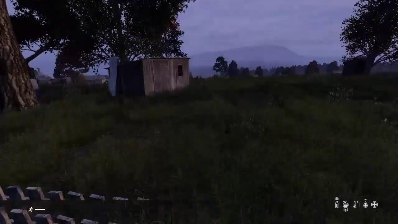 Dayz part 2 plotting revenge
