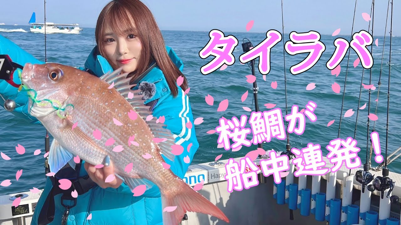 【桜鯛】明石沖で桜鯛が満開！釣って締めて熟成して食べました！【あゆちぃTV Vol23】