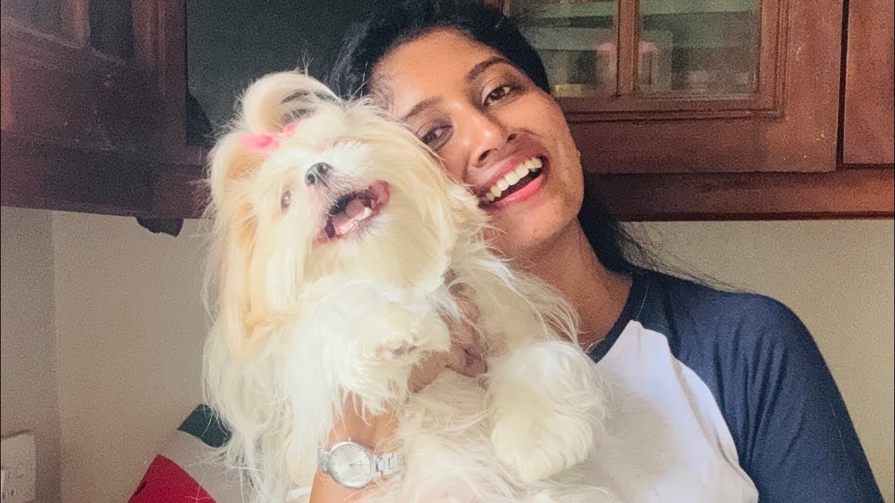 බව්වොන්ට කෑම දෙන bowl දැන් අපෙන් ගන්න පුලුවන් 😇🐶