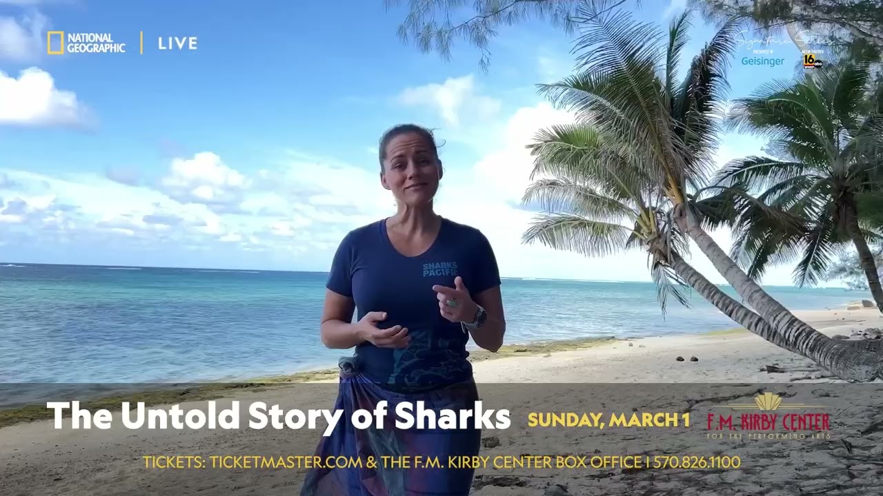 National Geographic Live The Untold Story of Sharks on March 1 2026 at the F.M. Kirby Center