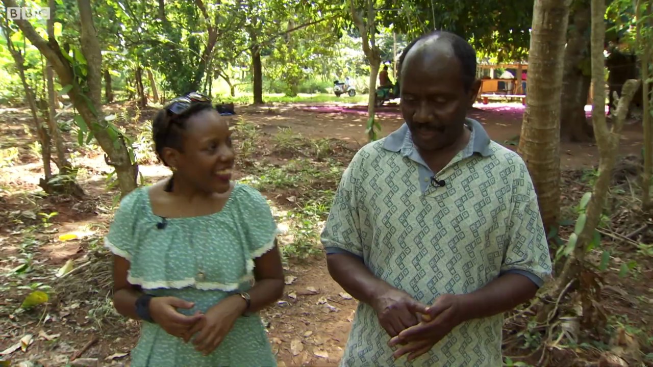 Take a spice tour with us in Zanzibar - BBC What's New?