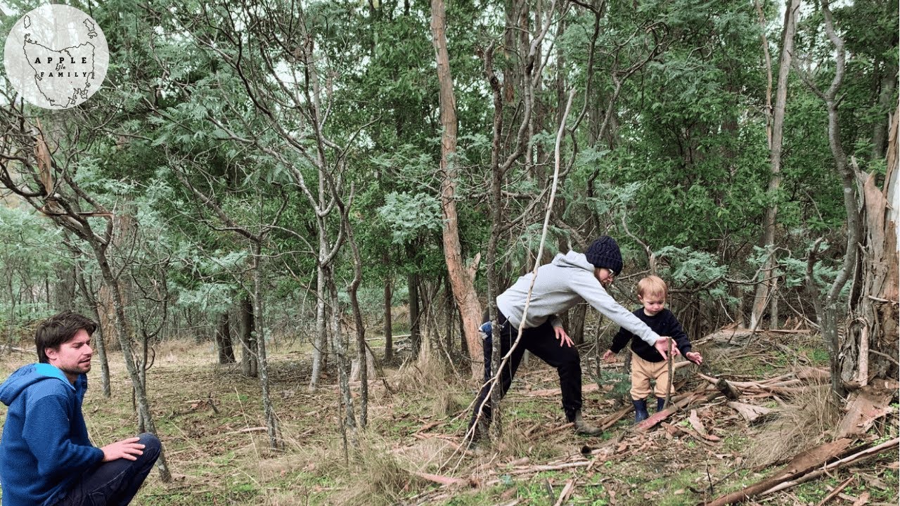 Day One: Turning Bushland Into Our Sustainable Office Space