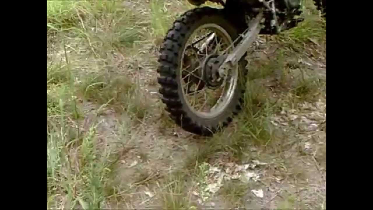 Pigs Point trail