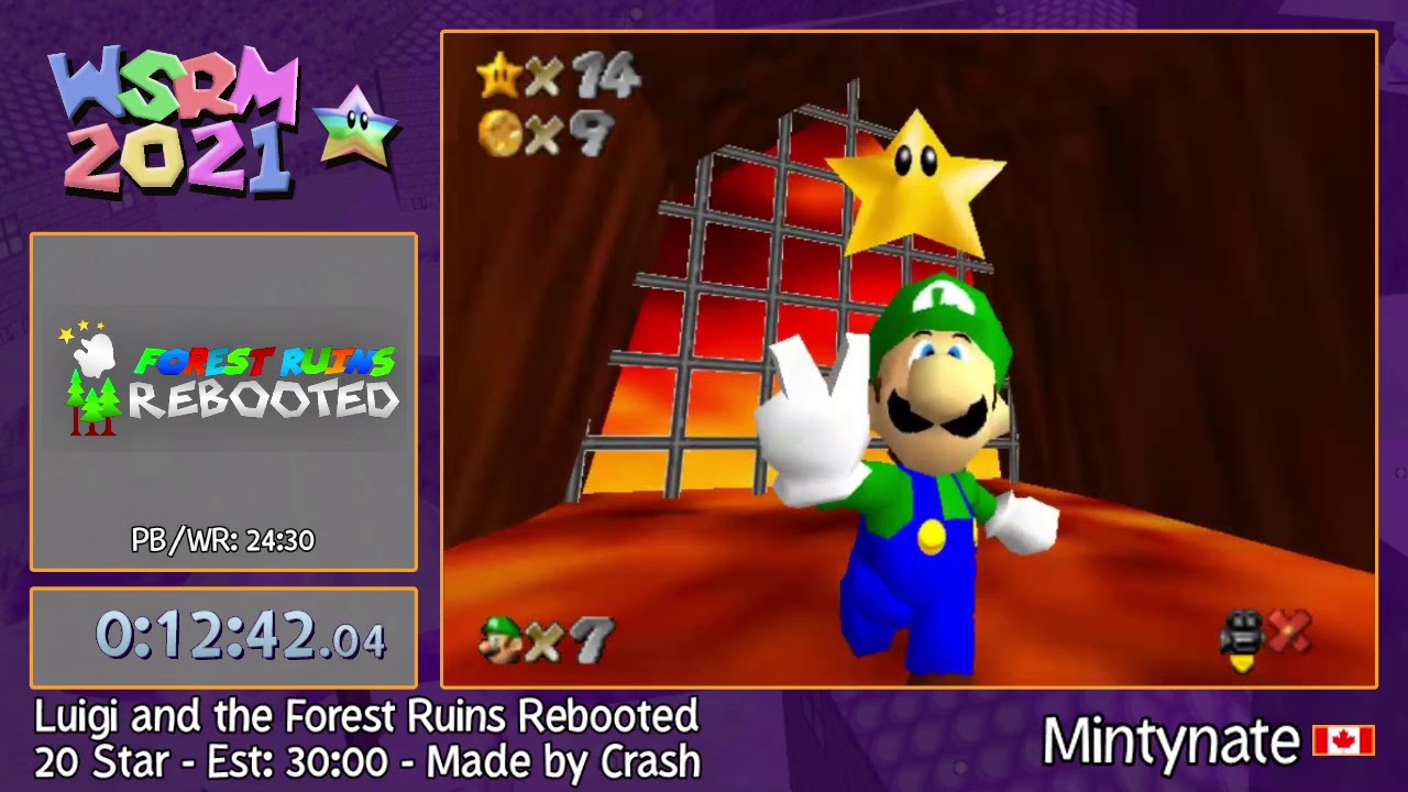 WSRM2021 - Luigi and the Forest Ruins Rebooted 20 Star by Mintynate