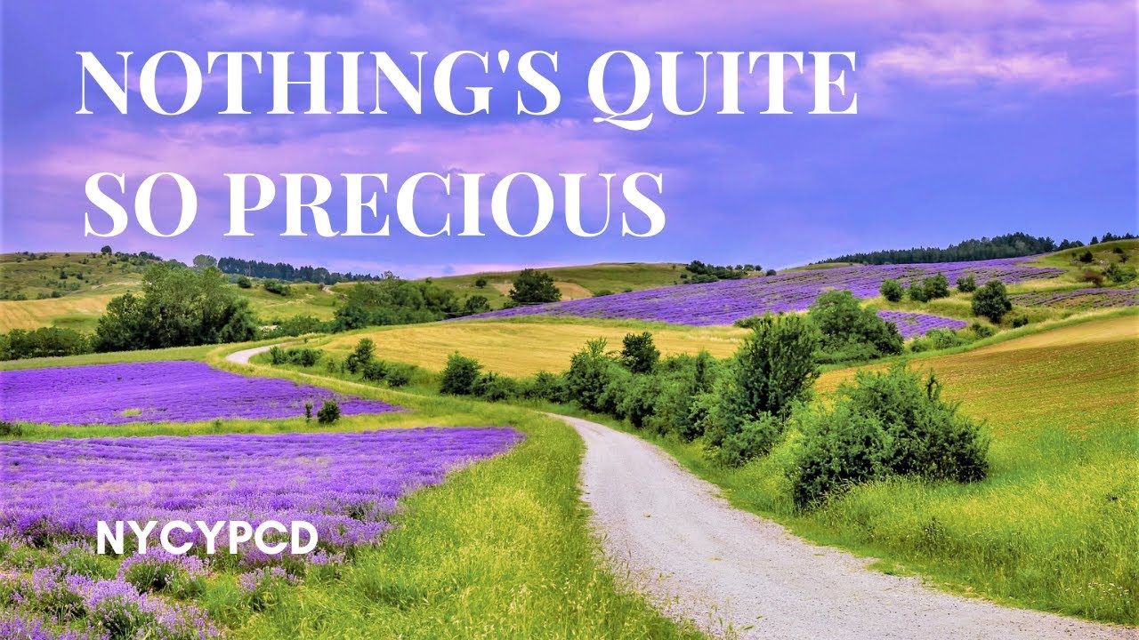 Nothing's Quite So Precious