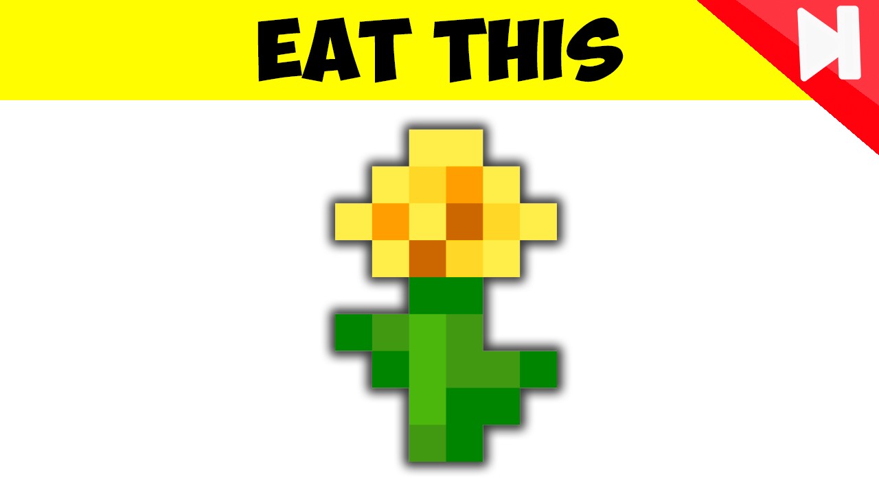 20 Minecraft Item Facts You Maybe Didn't Know