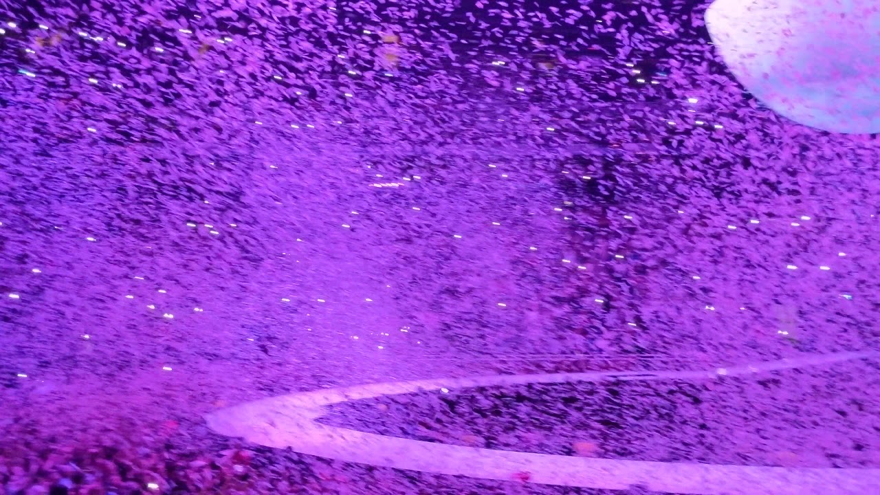 Ariana Grande - thank u, next Live @ London O2, sweetener tour, 19/08/2019