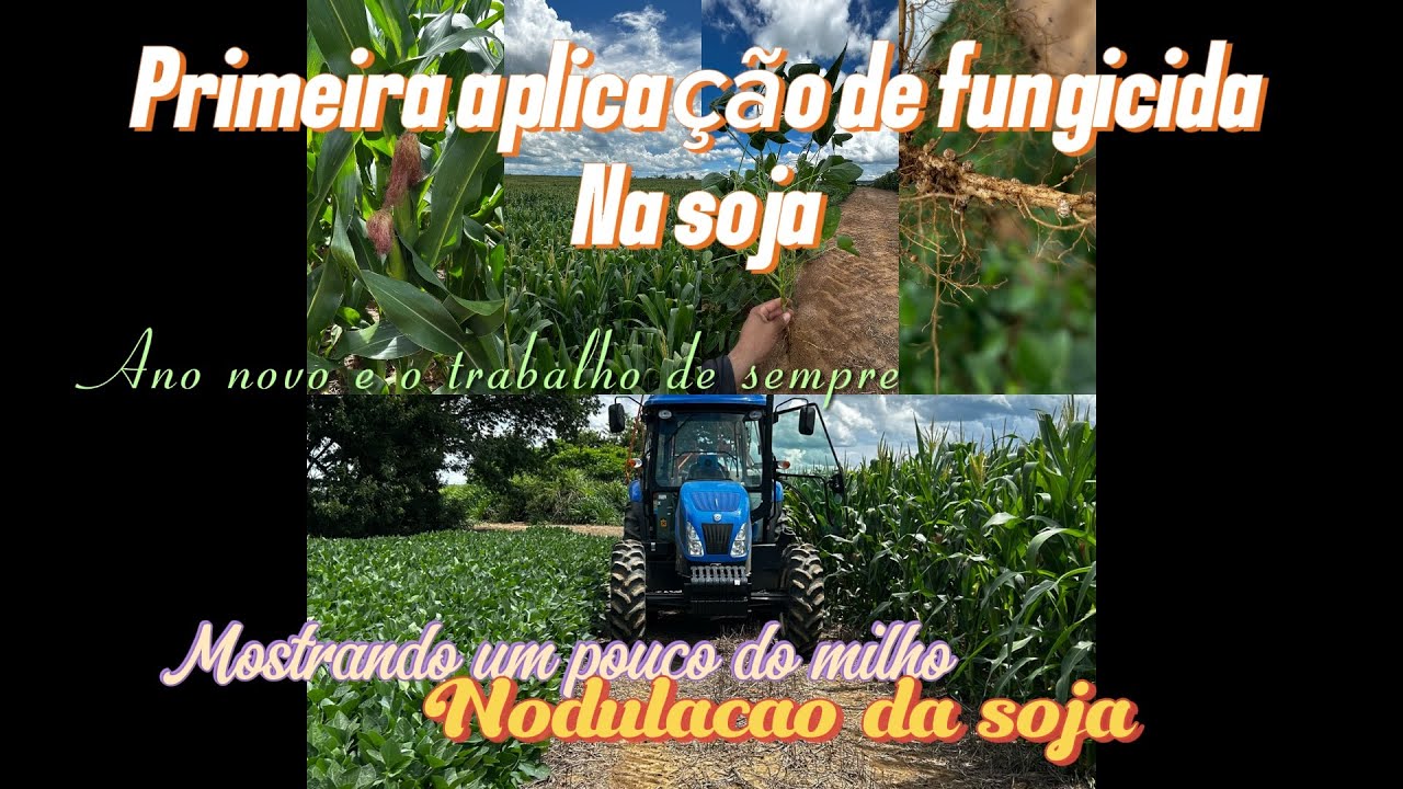 PRIMEIRA APLICAÇÃO DE FUNGICIDA NA SOJA, NODULAÇÃO EM DESTAQUE E MILHO EM PLENO CRESCIMENTO🚀📈