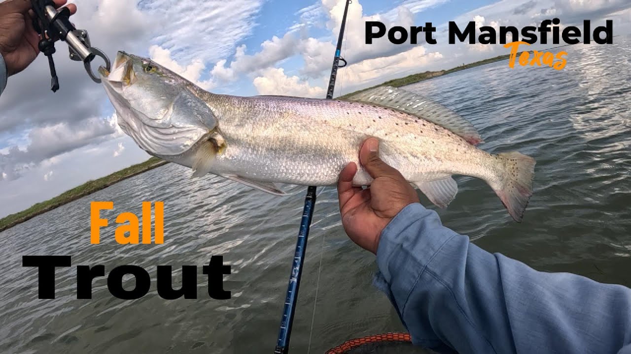 Big Fall Trout in Port Mansfield, Texas