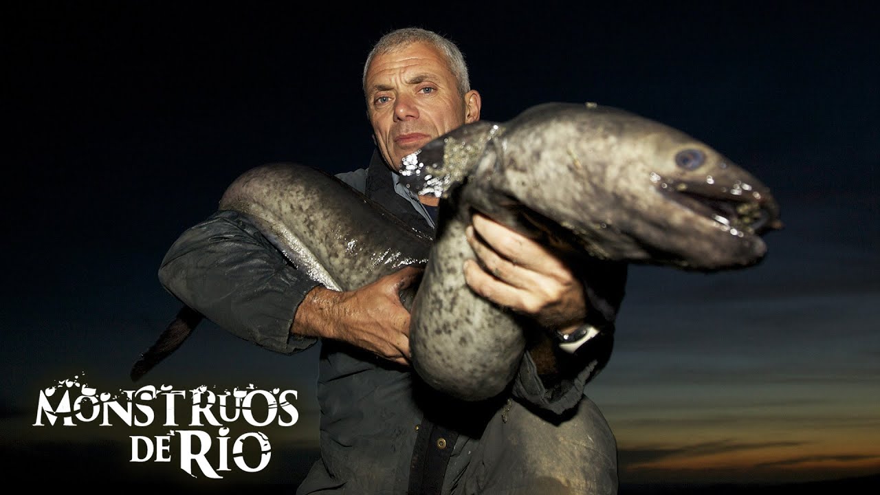 Destripador de Carne: Bestia de Ocho Pies | T3 E01 | Monstruos de Río