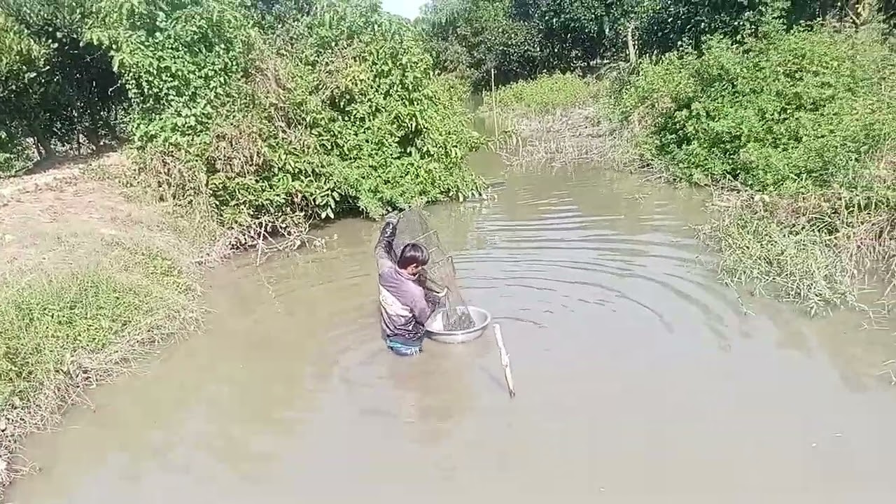 Đi vơi cưa ngut  vui lăM bạn ơi anh em vê miên tăi anh bao hêt ăn cho đã