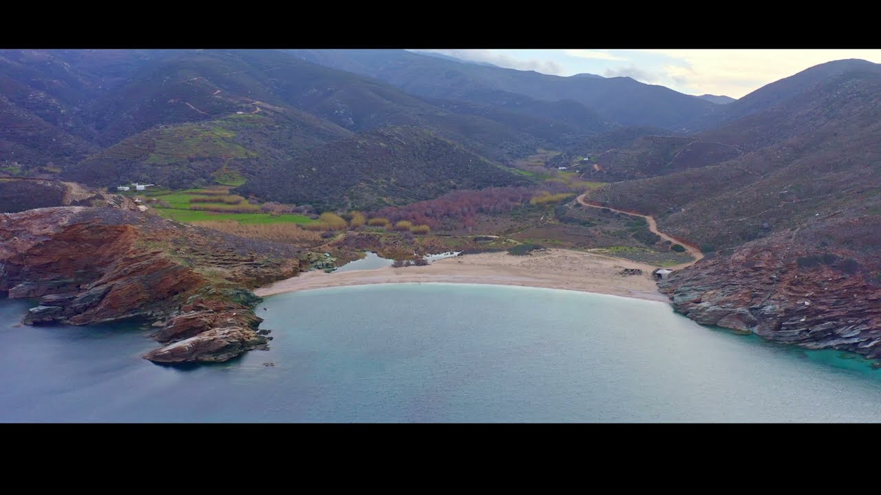 Alder forest in Vori ANDROS