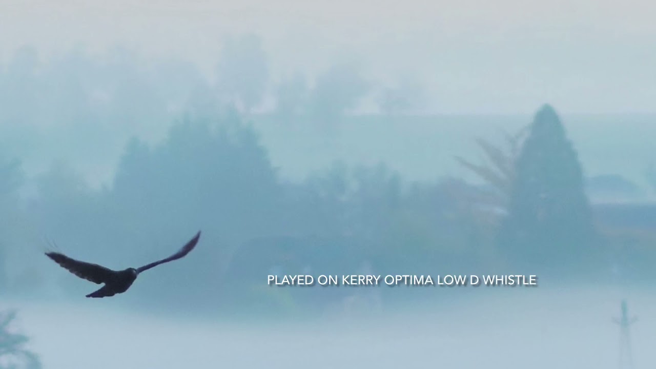An Buachaillin Ban ( The Dear Irish Boy ) on Kerry Optima Low D whistle