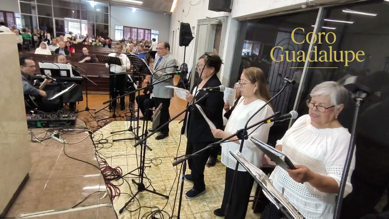 🎵 4️⃣ VID Y TRIGAL (Ofertorio)