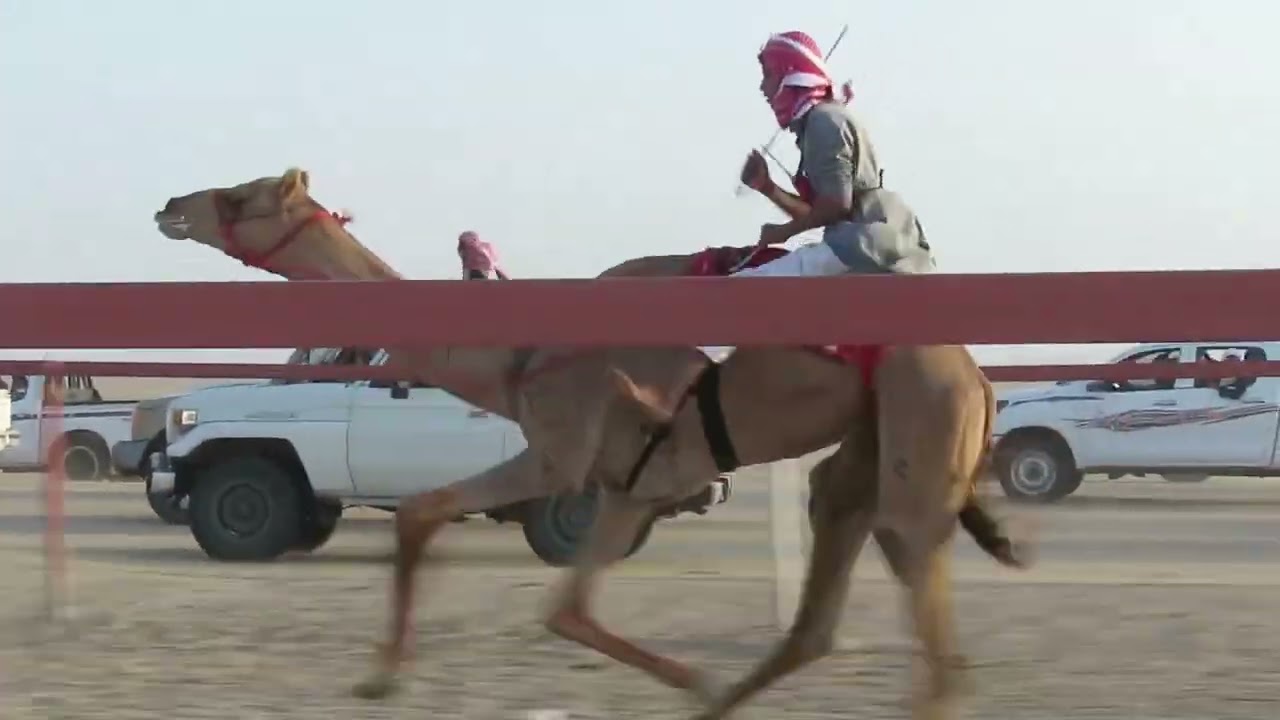 مياس. هادي حمدان الجهني