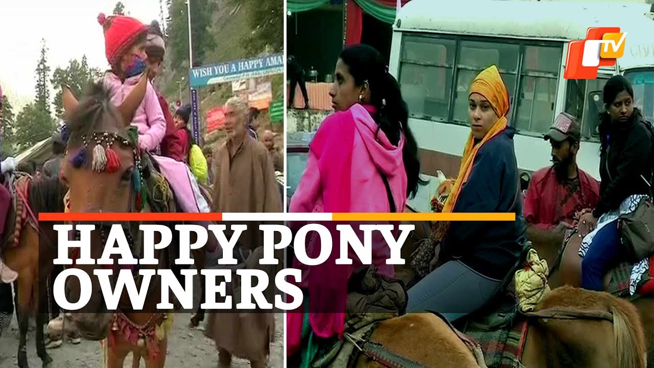 Amarnath Yatra Boon: Horse Owners’ Business Booms | OTV News