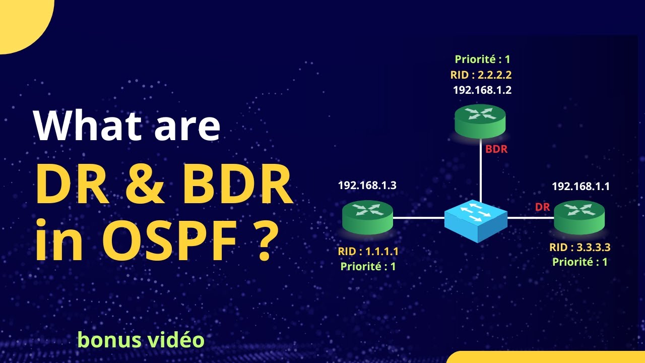 Comment s’effectue l’élection du DR et du BDR en OSPF | Bonus vidéo