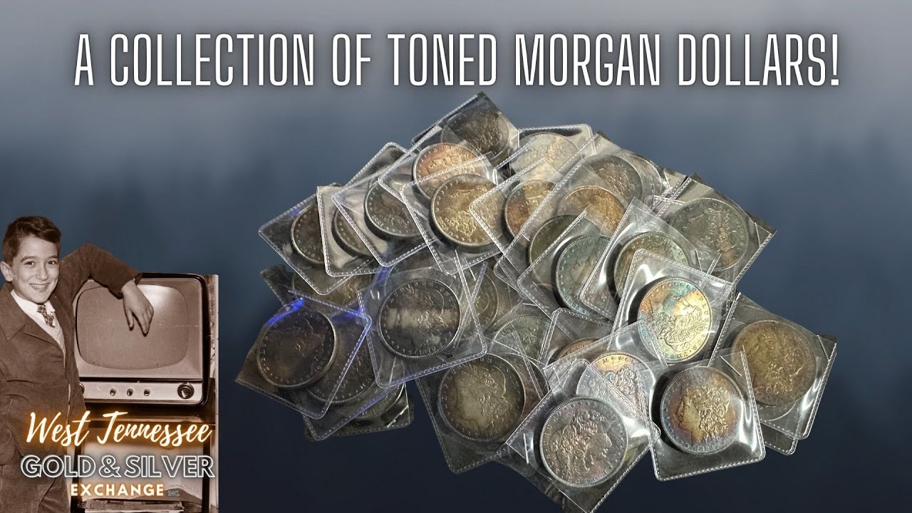 A Collection of Toned Constitutional Morgan Silver Dollars Comes Into The Store.