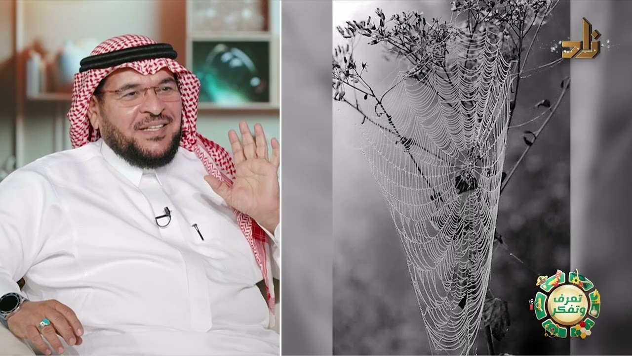 حياة العنكبوت || برنامج تعرَّف وتفكَّر || د. ناصر أحمد الكناني || تقديم أ. زين الزيلعي