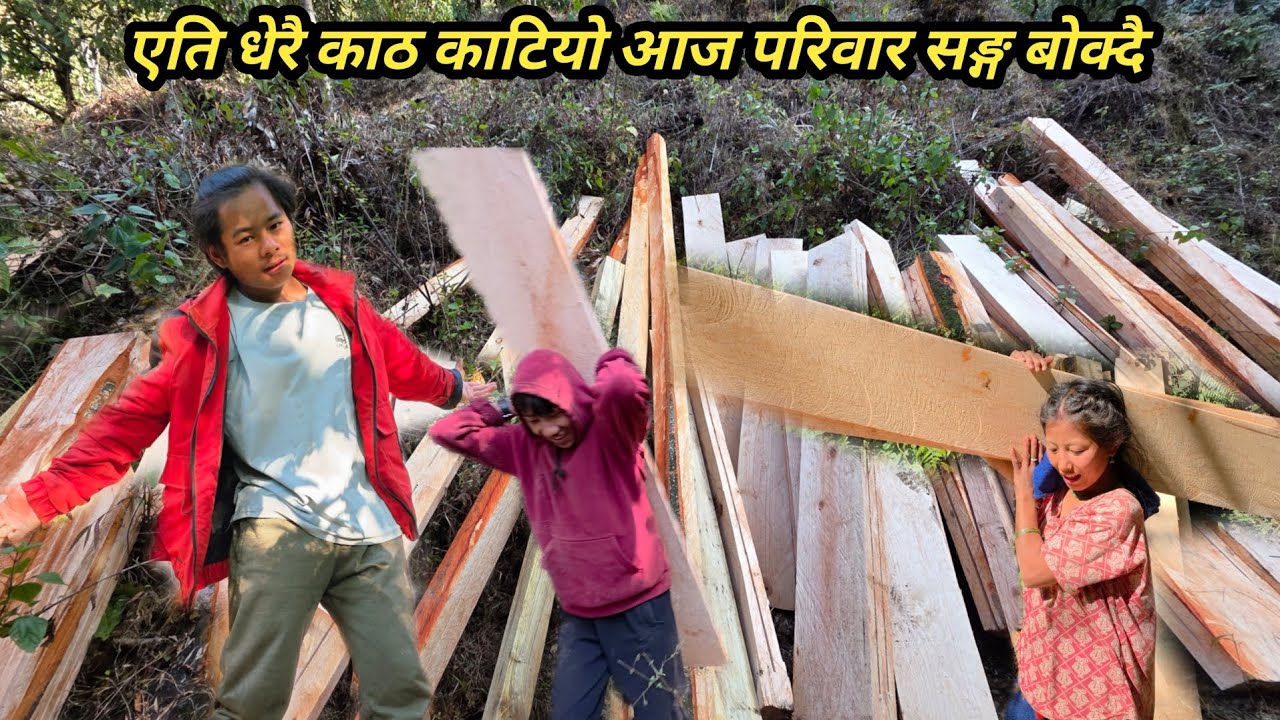 एति धेरै काठ काटियो आज परिवार सङ्ग बोक्दै  सकिएन 4 दिन लाग्ने भयो काठ बोक्नु @NismaRai50 